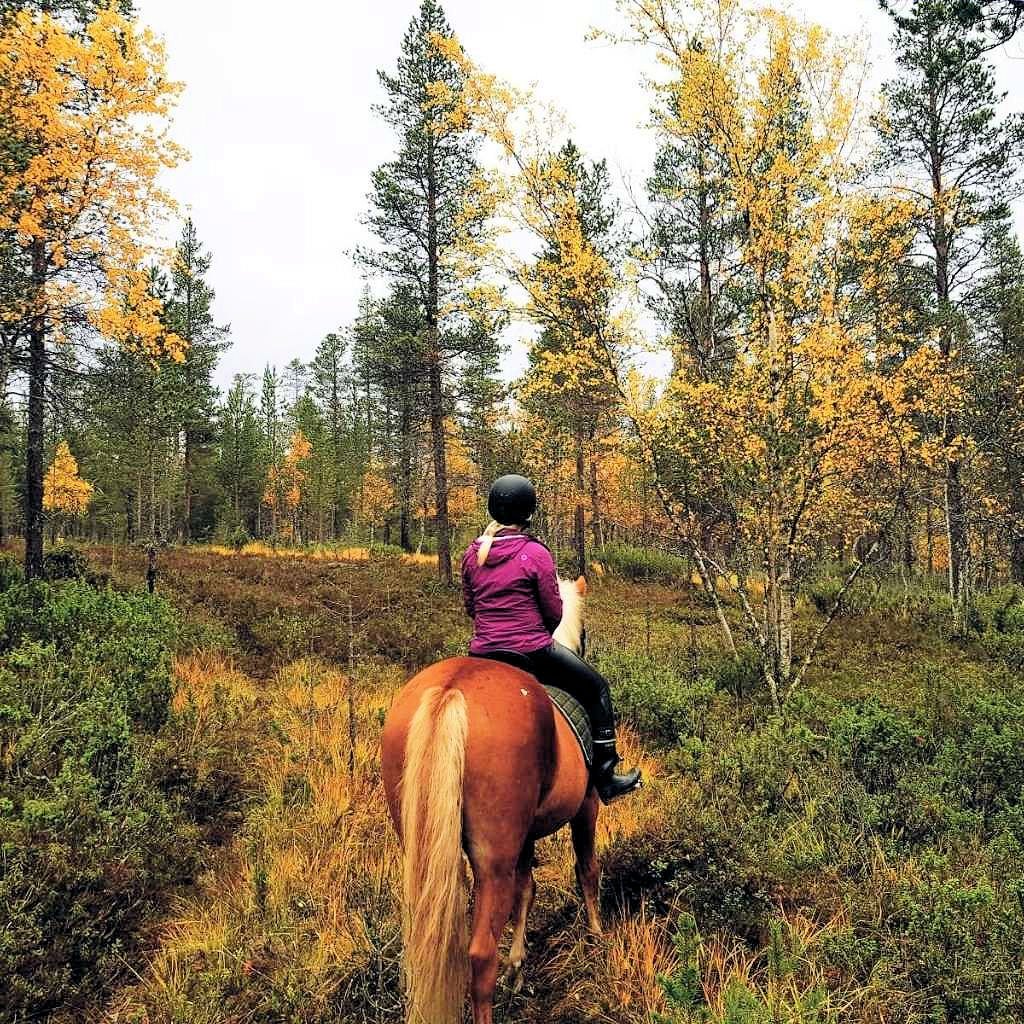 Viaggi a cavallo nel Nord Europa: le 4 migliori destinazioni per l’estate 2 Viaggi a cavallo nel Nord Europa 3