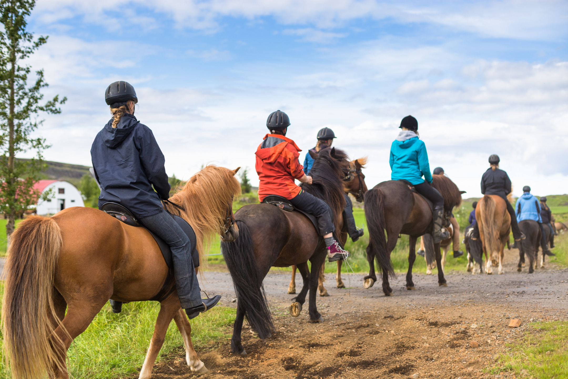 Viaggi a cavallo nel Nord Europa: le 4 migliori destinazioni per l’estate 3 Viaggi a cavallo nel Nord Europa 4