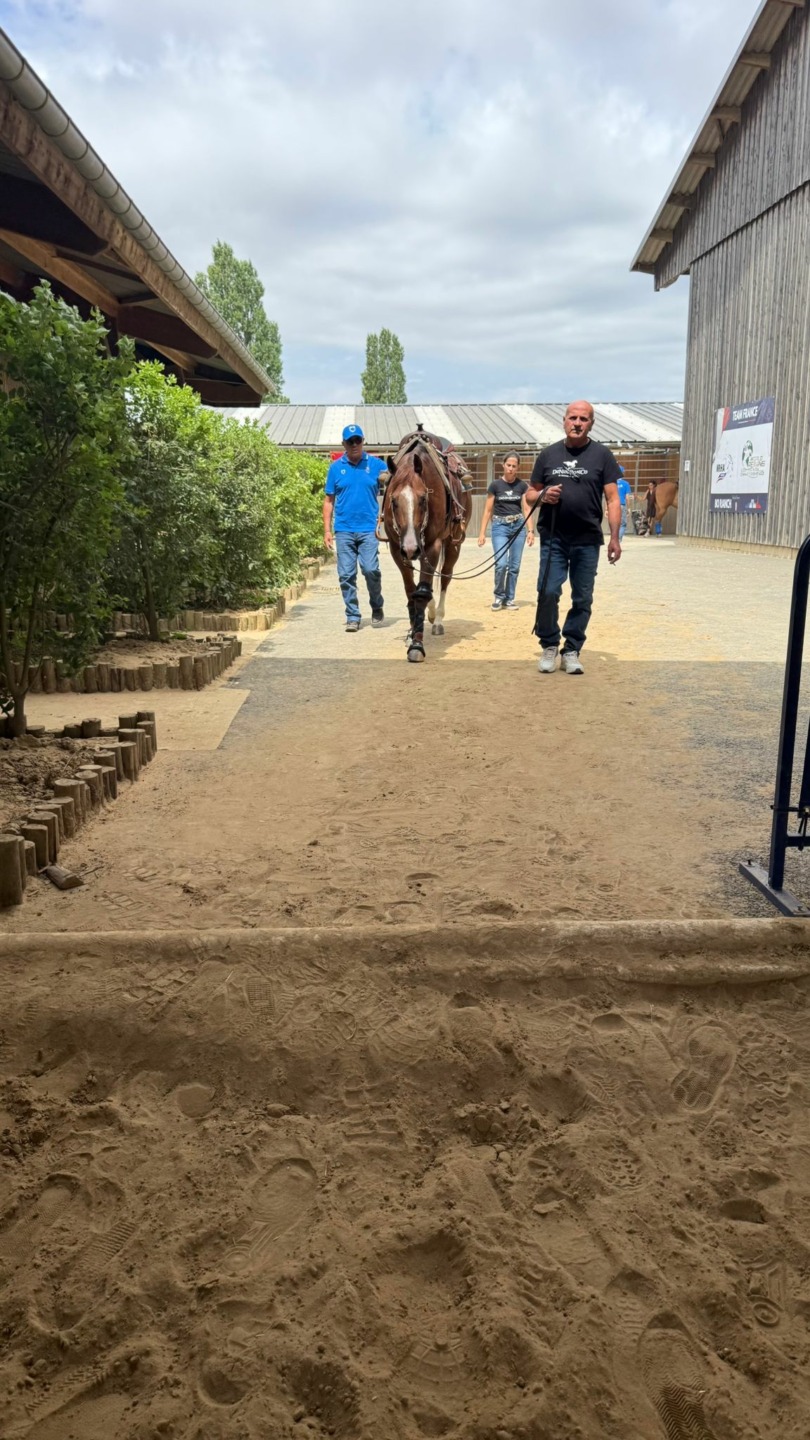 World Reining Continental Championships 2026 1
