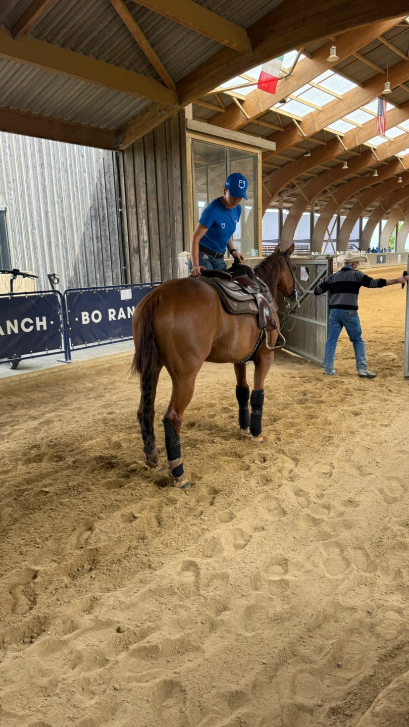 World Reining Continental Championships 2026 8