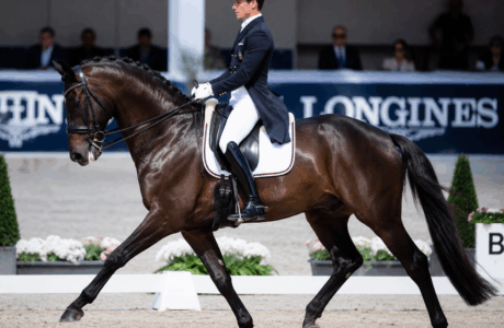 L’eleganza in gara, il rispetto che inizia dalla cura del cavallo.