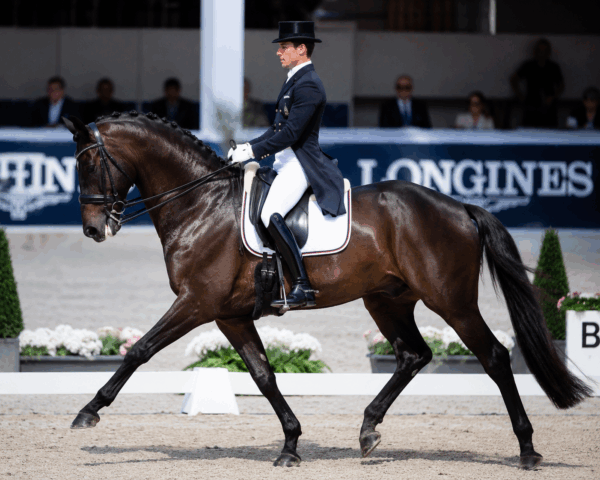 L’eleganza in gara, il rispetto che inizia dalla cura del cavallo.