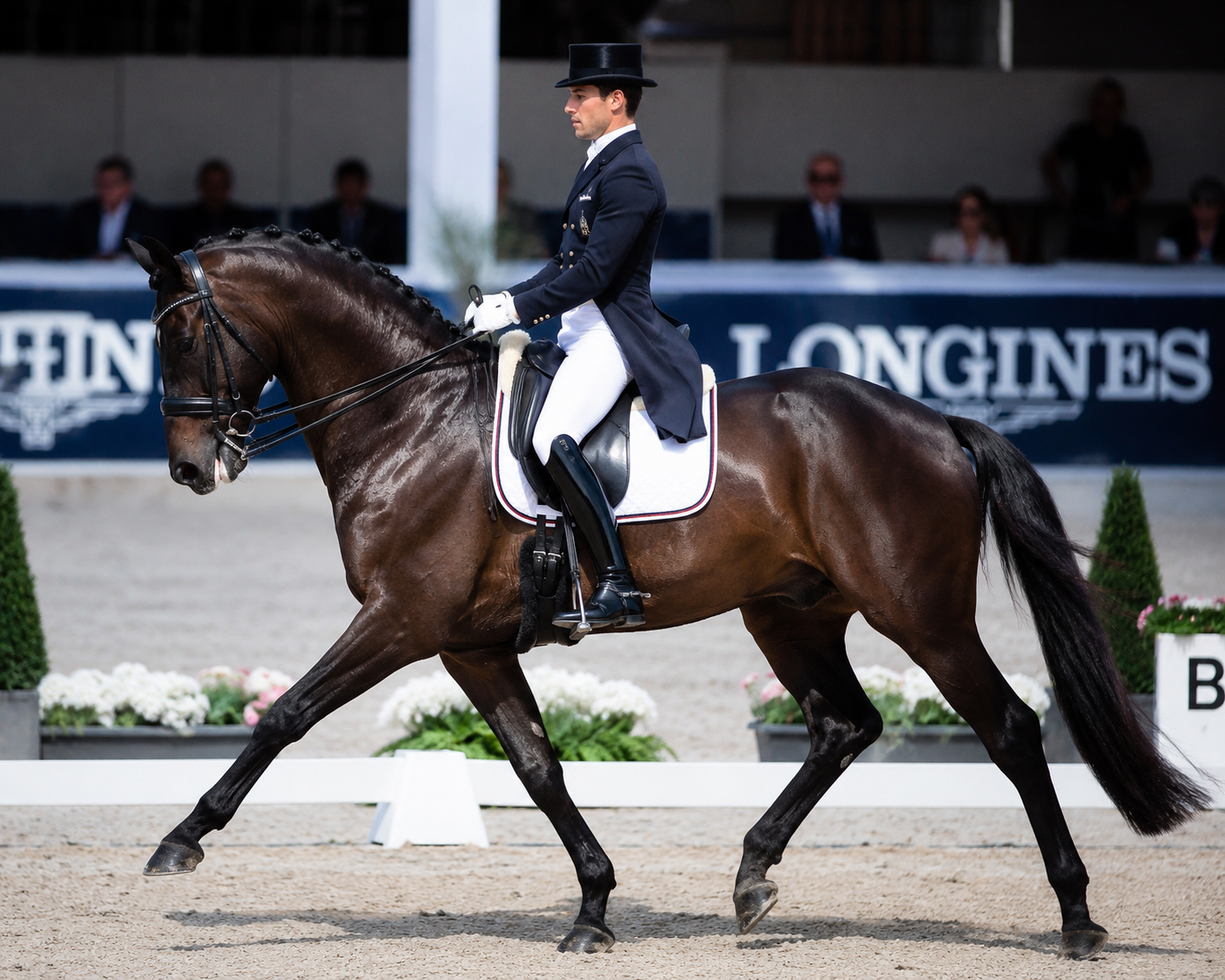 L’eleganza in gara, il rispetto che inizia dalla cura del cavallo.