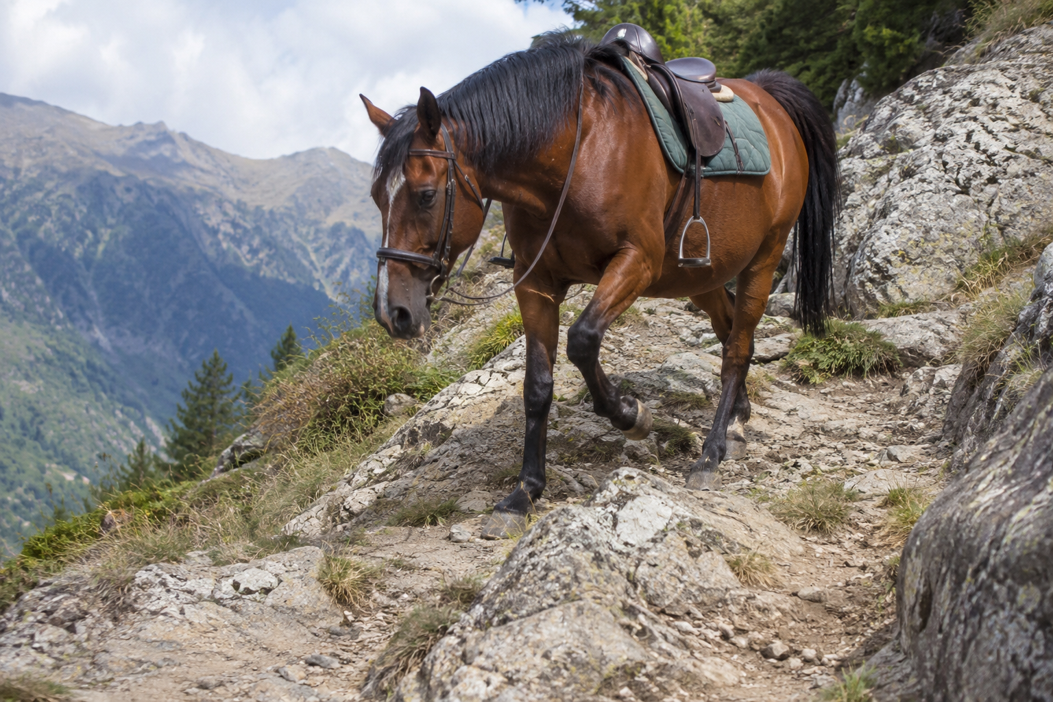 Andare a cavallo su terreno sconnesso, tecniche e consigli per affrontare i percorsi più impegnativi.