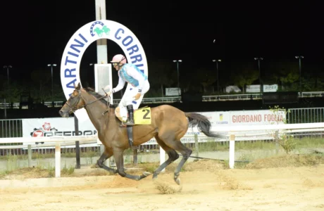 L’Estate al Galoppo di Corridonia: Una Serata Sotto le Stelle tra Sport, Passione e Divertimento per Tutta la Famiglia