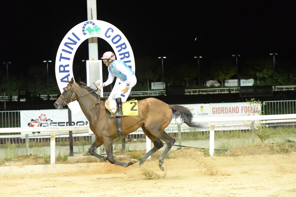 L’Estate al Galoppo di Corridonia: Una Serata Sotto le Stelle tra Sport, Passione e Divertimento per Tutta la Famiglia