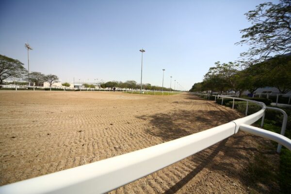 Verolanuova incorona i campioni italiani giovanili di dressage 2026.