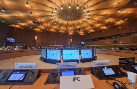 L'IPC invita a una maggiore collaborazione per promuovere l'inclusione delle persone con disabilità