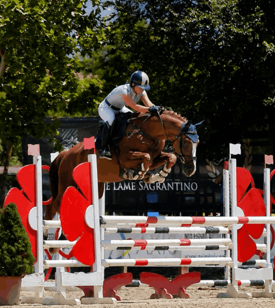 Chiara Galeazzi vince la 4 anni di Montefalco con un cavallo Avantea