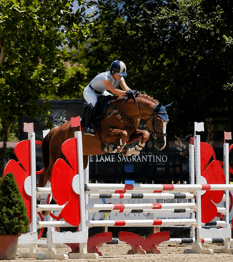 Chiara Galeazzi vince la 4 anni di Montefalco con un cavallo Avantea
