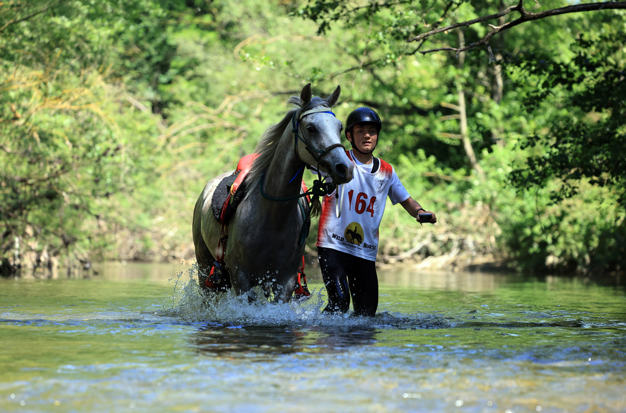 La Caldese Horse Academy di Città di Castello attende il passaggio di testimone dalla Vigolana "The Race" 2 Caldese Horse Academy 1