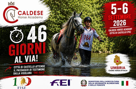 Caldese Horse Academy