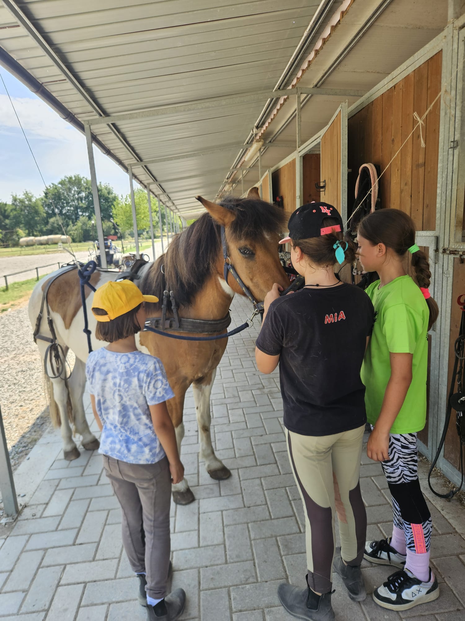 Francesca Pieri: «Gli attacchi permettono di riscoprire il cavallo in un modo completamente diverso» 5 Empoli Equestrian Centre