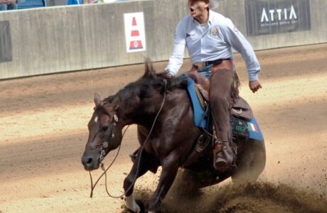 Fabio De Iulio oro individuale senior non pro World Reining Continental Championships 2026