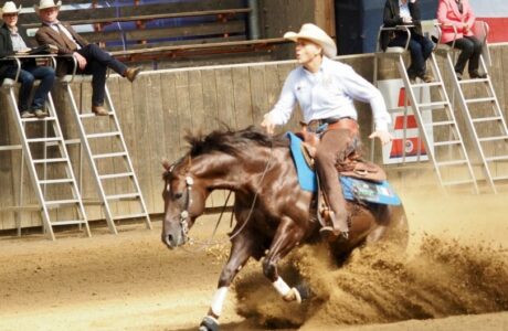 Fabio De Iulio oro individuale senior non pro World Reining Continental Championships 2026