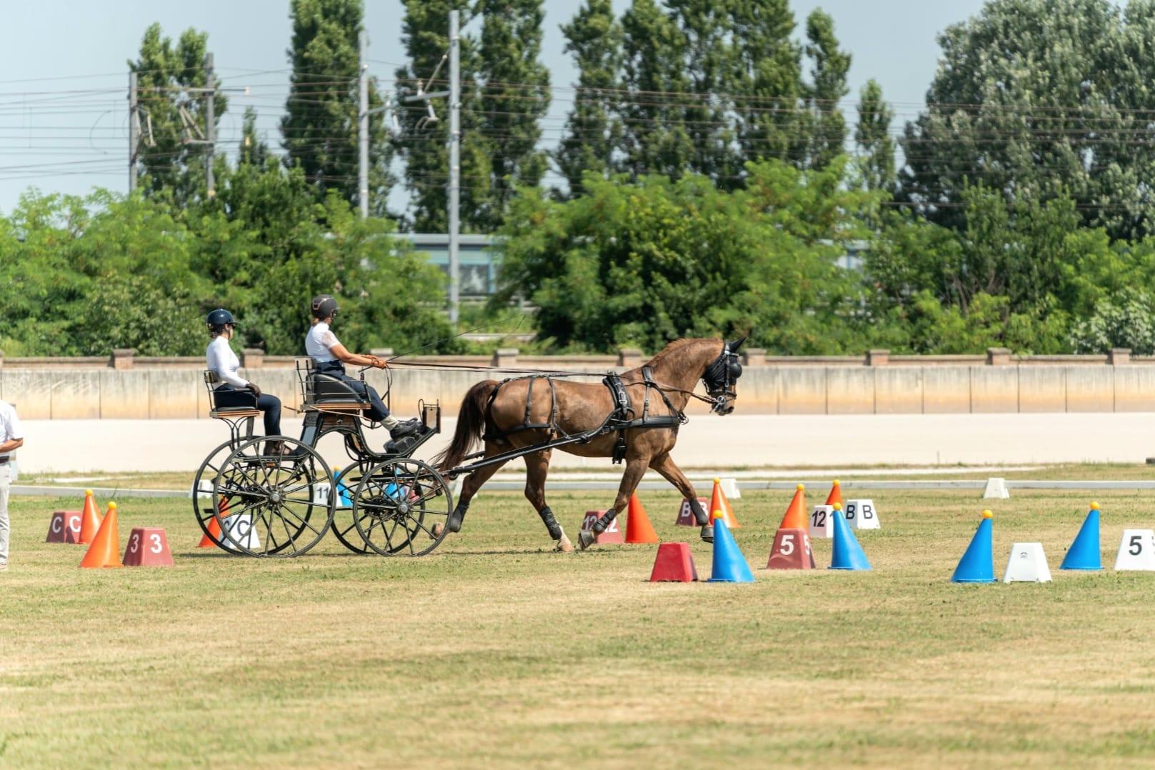 Francesca Pieri: «Gli attacchi permettono di riscoprire il cavallo in un modo completamente diverso» 2 Francesca Pieri 1