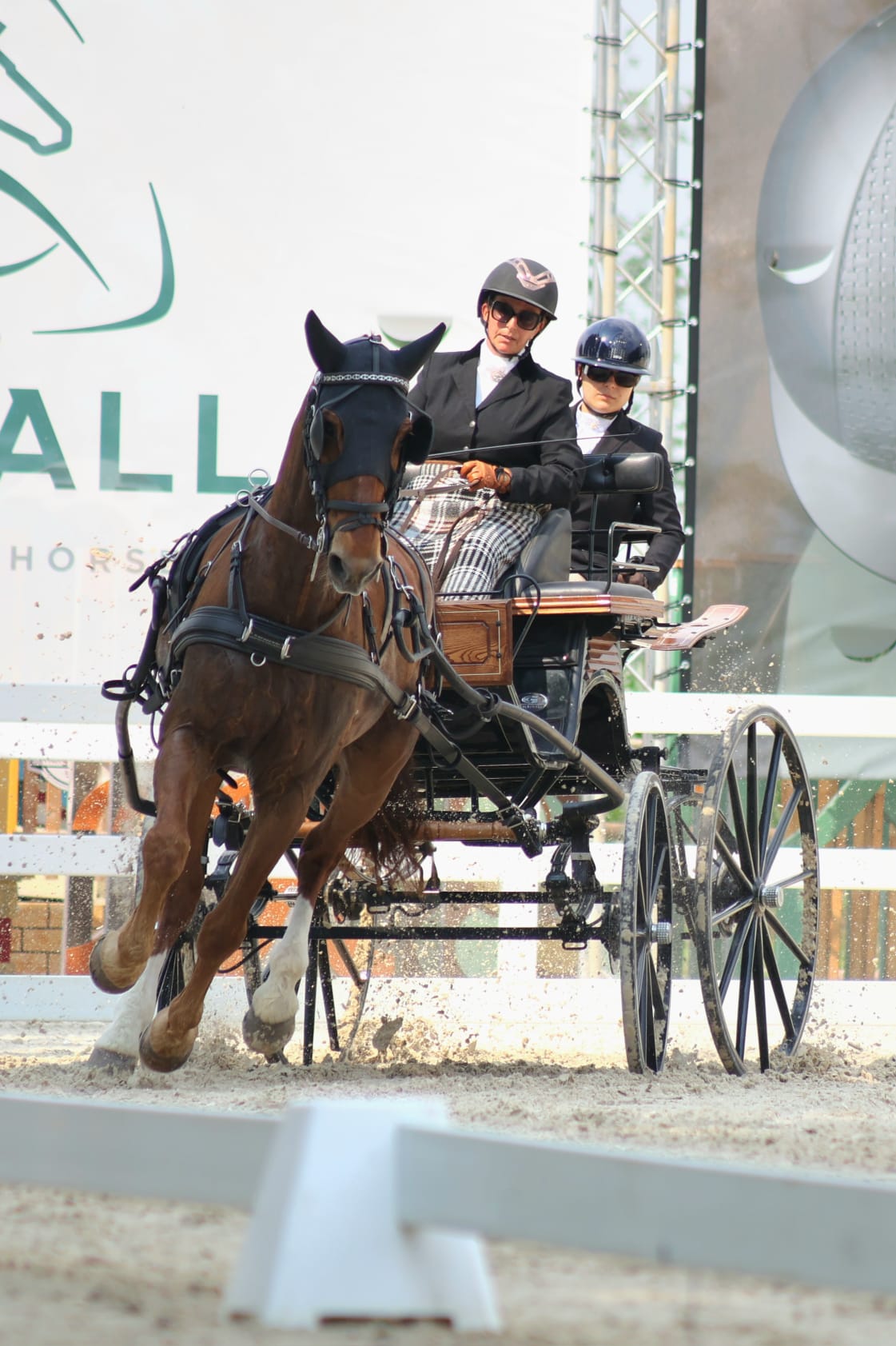 Francesca Pieri: «Gli attacchi permettono di riscoprire il cavallo in un modo completamente diverso» 4 Francesca Pieri 5
