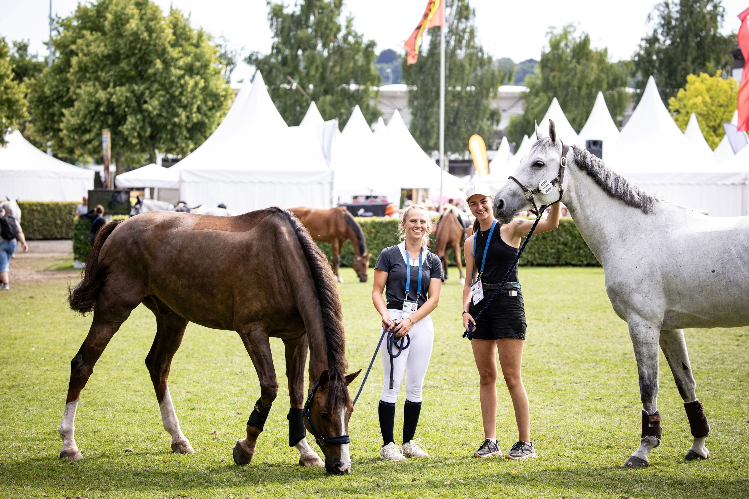 Horse welfare has always been top priority in Aachen