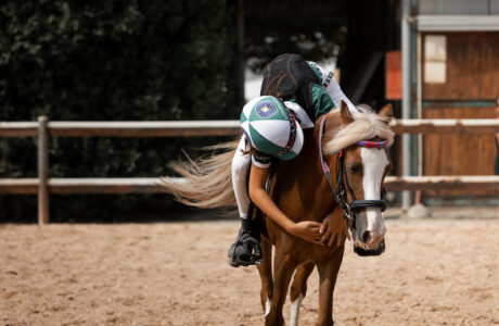 Ponyadi KEP Italia