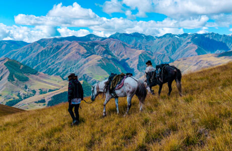 Viaggio a cavallo