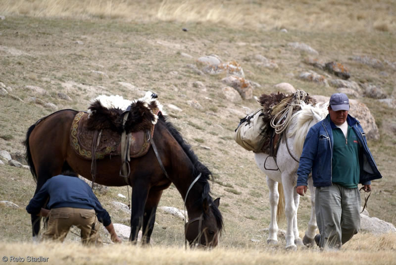 Viaggio a cavallo sulla Via della Seta: scopri Kirghizistan, Turkmenistan, Azerbaijan e Georgia 3 Viaggio a cavallo nella via della seta 3