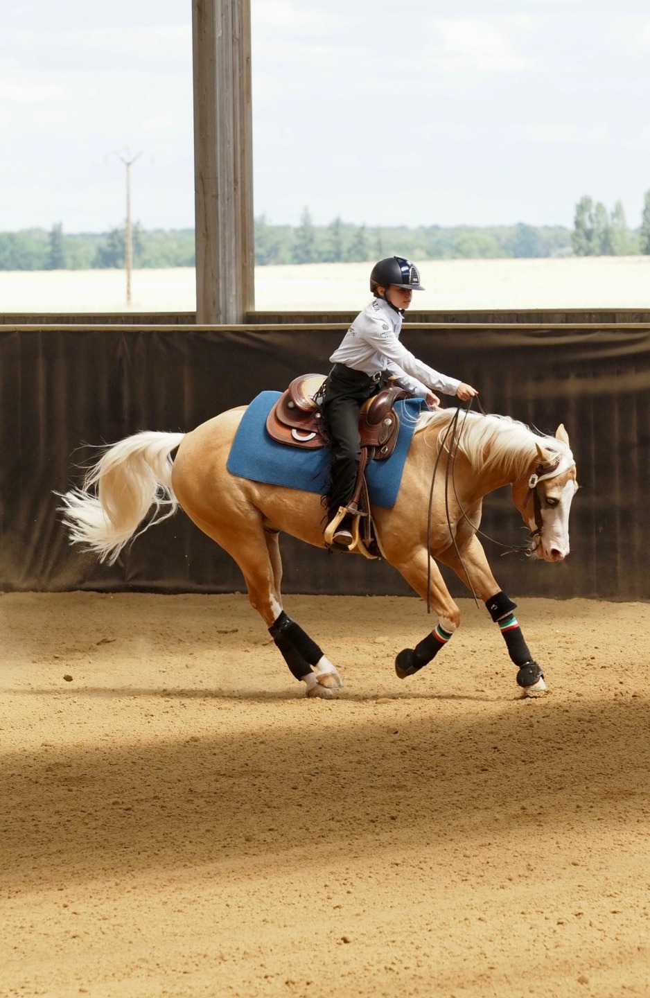 Mondiali di Reining Continentali 2026: l’Italia apre con un oro Children e due i bronzi Prime Time e Young non Pro 4 WhatsApp Image 2026 07 01 at 15.09.161