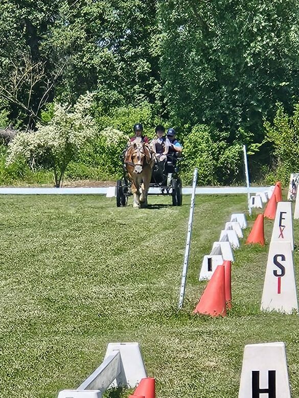 Francesca Pieri: «Gli attacchi permettono di riscoprire il cavallo in un modo completamente diverso» 6 attacchi edited