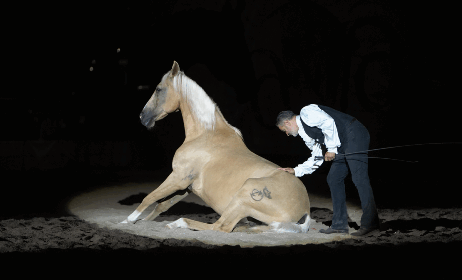 Cavalli sotto la torre 2026, un’edizione tra tradizione, arte equestre e grandi nomi internazionali a Fiano Romano. 2 image1