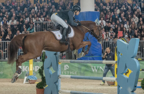 Nella mente dei cavalieri, svelati i primi svelati i primi risultati della ricerca sulle abilità cognitive