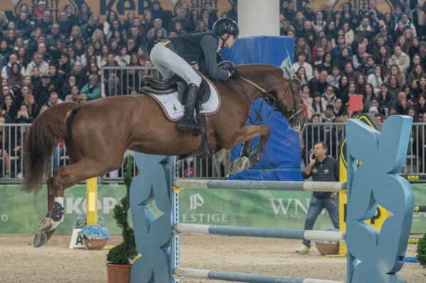 Nella mente dei cavalieri, svelati i primi svelati i primi risultati della ricerca sulle abilità cognitive