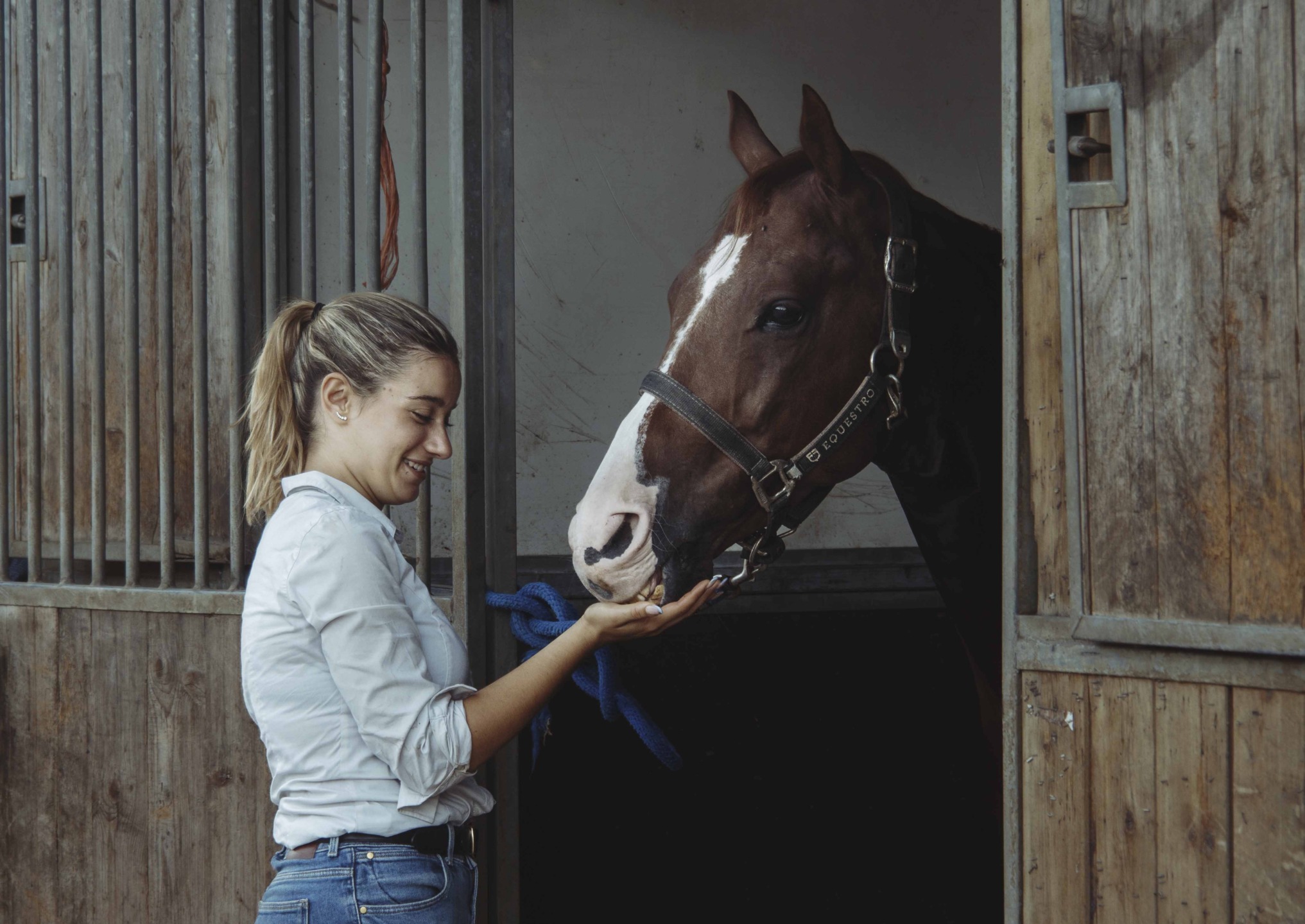 La Mostra Nazionale del Cavallo di Città di Castello cambia volto: nel 2026 debutta ad agosto e torna il gala equestre di Nico Belloni 5 IMG 7660