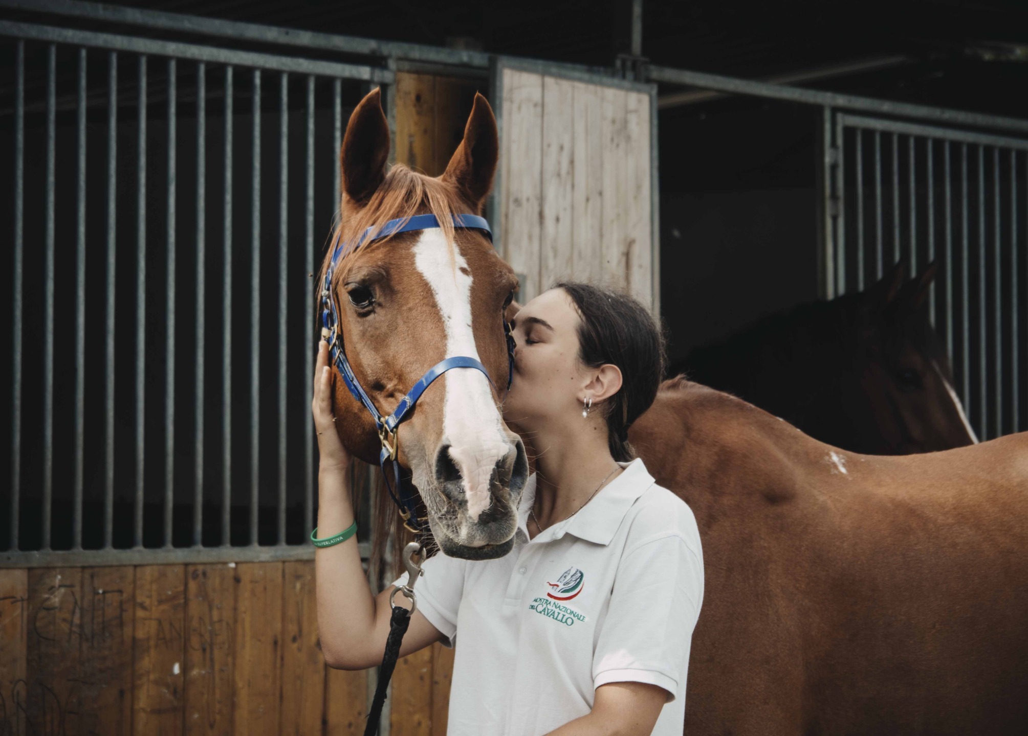 La Mostra Nazionale del Cavallo di Città di Castello cambia volto: nel 2026 debutta ad agosto e torna il gala equestre di Nico Belloni 4 IMG 7662