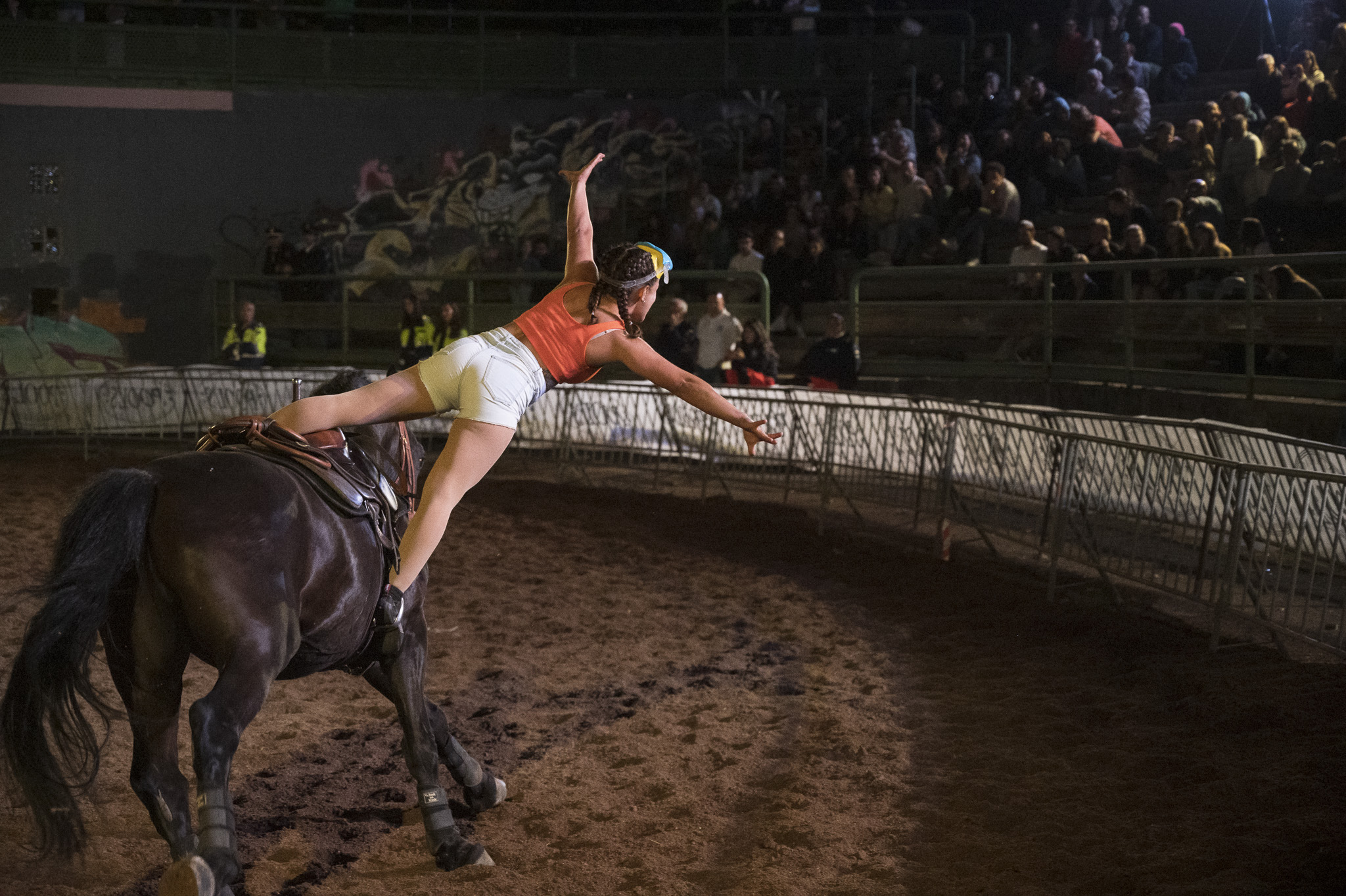 La Mostra Nazionale del Cavallo di Città di Castello cambia volto: nel 2026 debutta ad agosto e torna il gala equestre di Nico Belloni 6 IMG 7663
