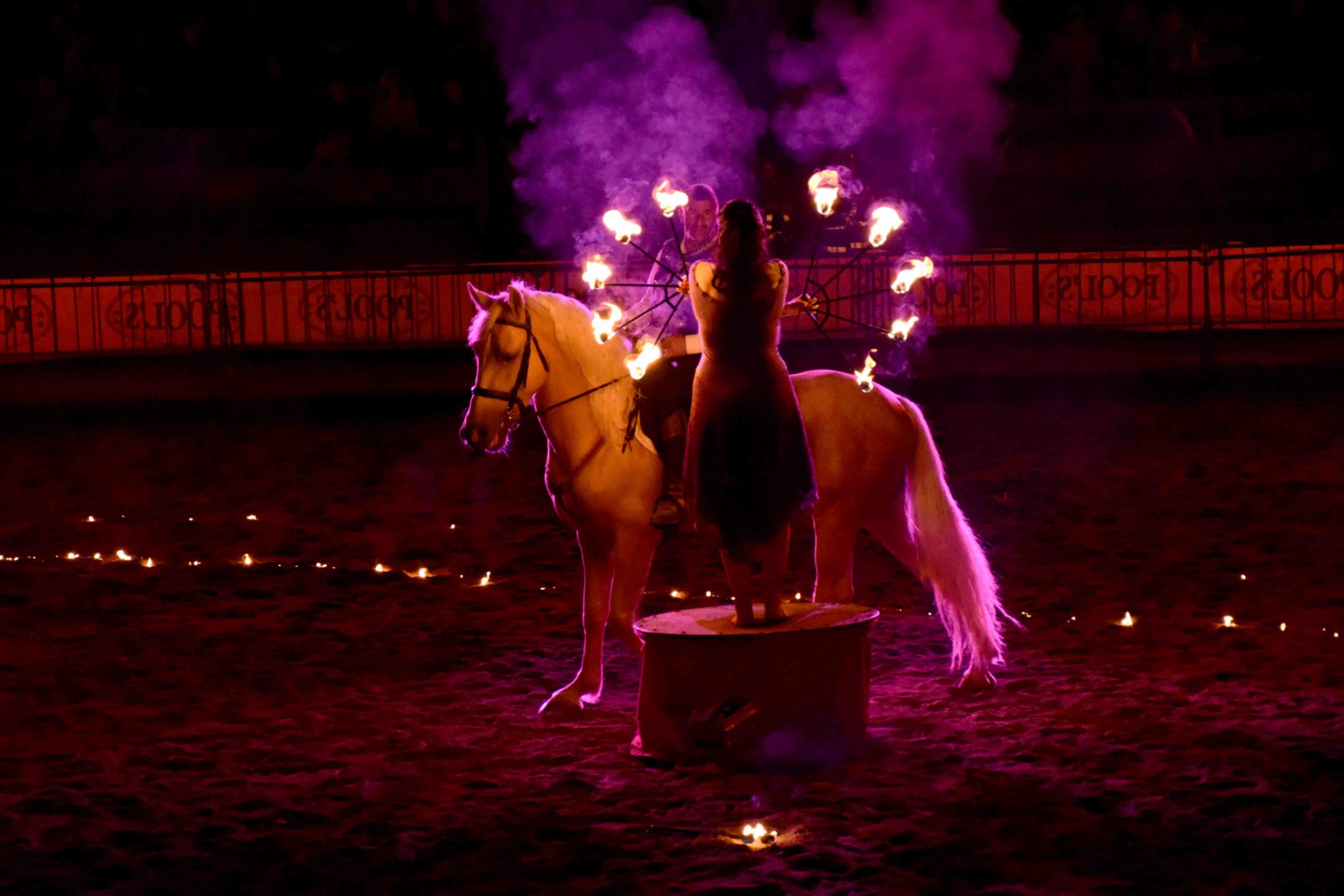 La Mostra Nazionale del Cavallo di Città di Castello cambia volto: nel 2026 debutta ad agosto e torna il gala equestre di Nico Belloni 2 IMG 7665