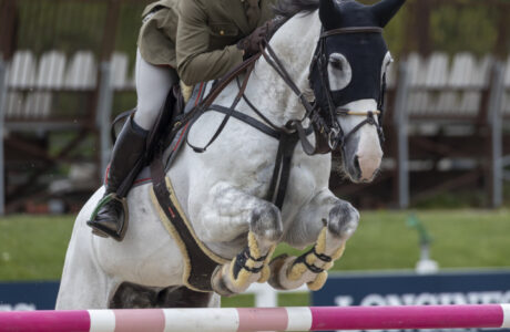 Lorenzo CORREDDU DALAKANI CHARDONNET CSIO Gorla 20240427 SS355267